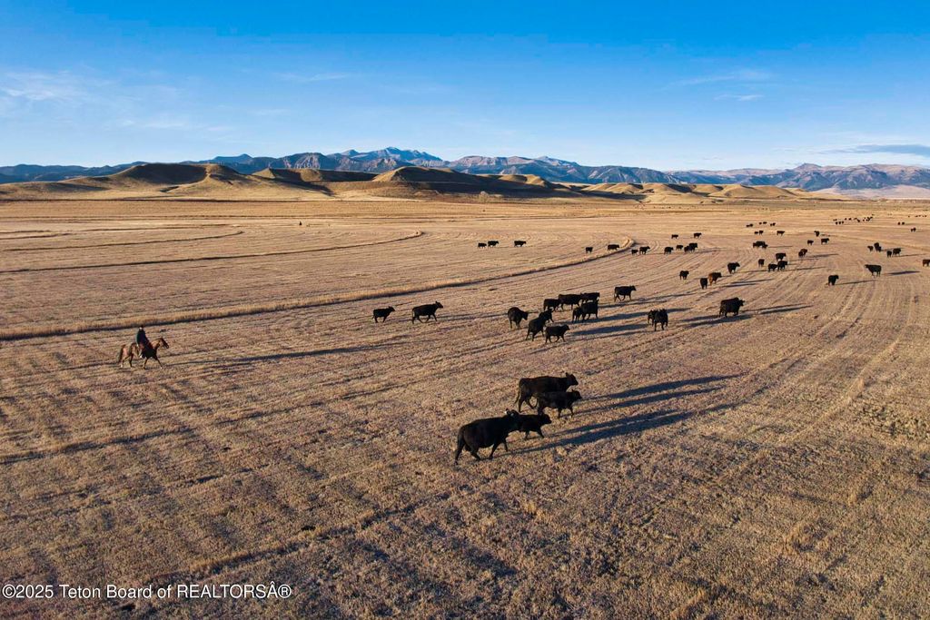 20A RD 5RU, Meeteetse, WY 82433 photo 59