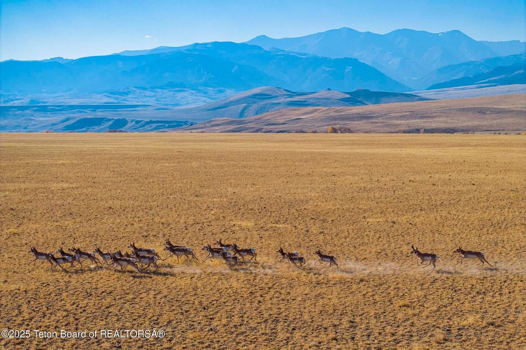 20A RD 5RU, Meeteetse, WY 82433 photo 6