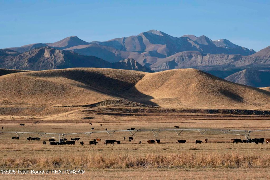 20A RD 5RU, Meeteetse, WY 82433 photo 60