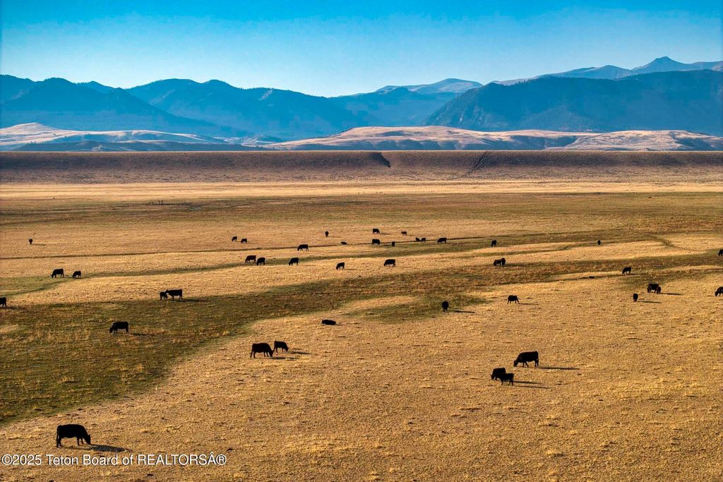 20A RD 5RU, Meeteetse, WY 82433 photo 69