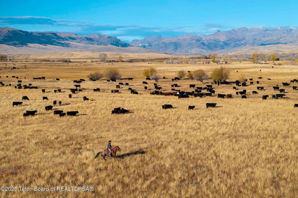 20A RD 5RU, Meeteetse, WY 82433 photo 8