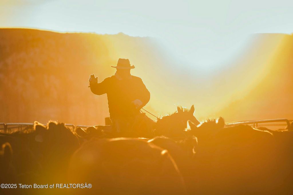 20A RD 5RU, Meeteetse, WY 82433 photo 9