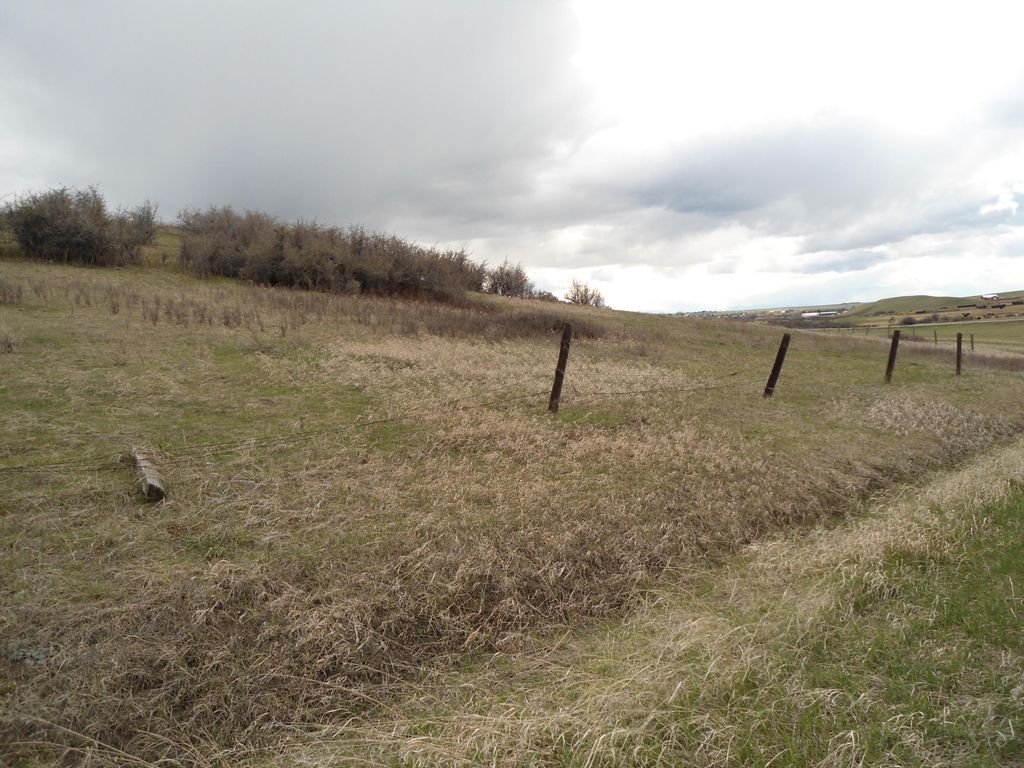 LOT 08B SOUTHERN SHADOWS DR, Lewistown, MT 59457 photo 3