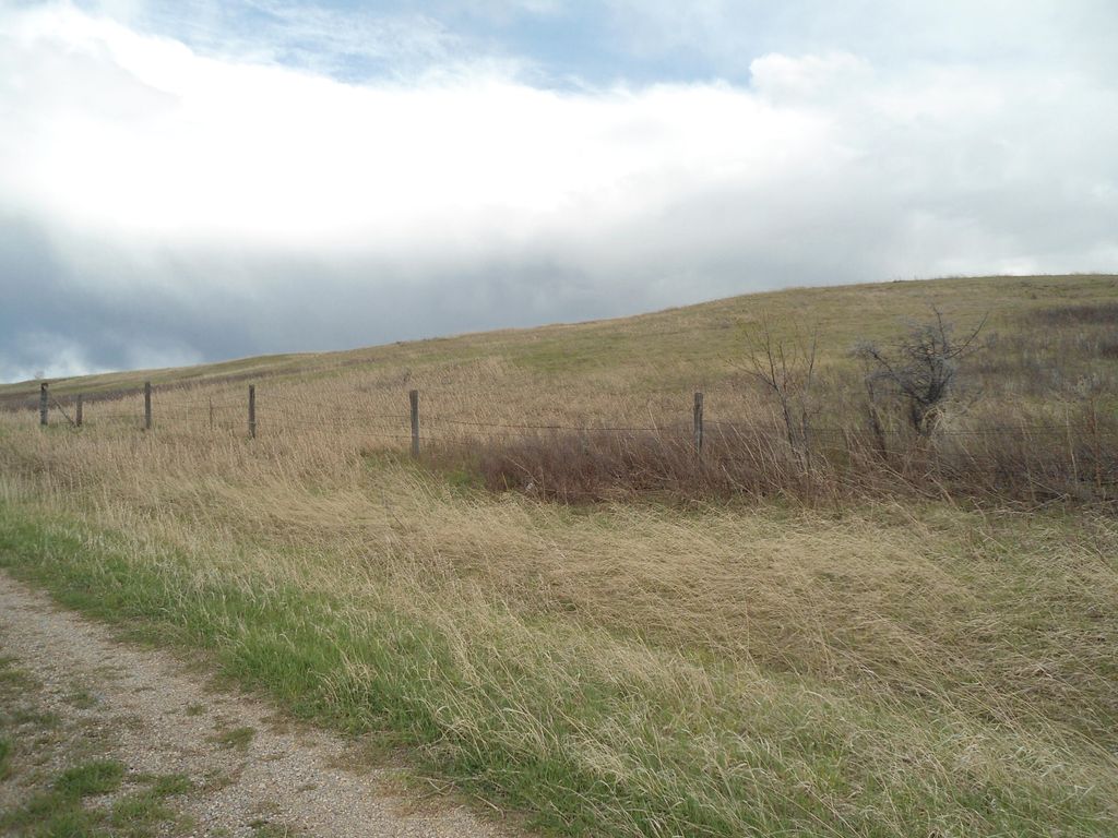 LOT 08B SOUTHERN SHADOWS DR, Lewistown, MT 59457 photo 4