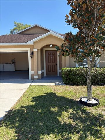 3649 GRUBBS STREET, Mount Dora, FL 32757