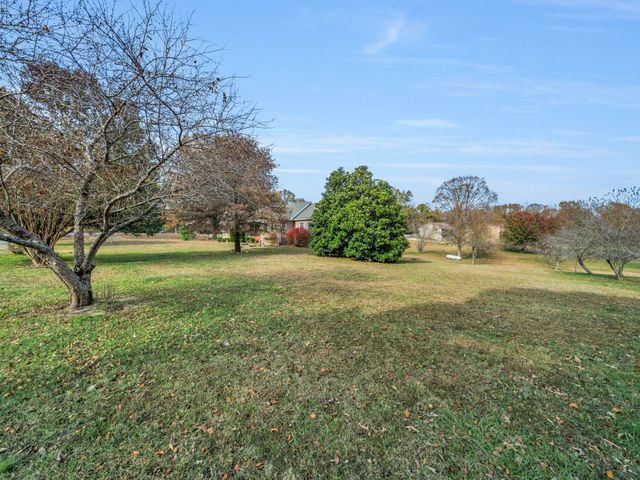 311 Downs Rd, Cumberland City, TN 37050