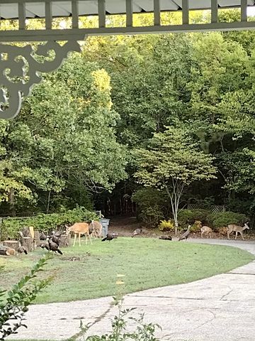 1812 Springfield Hwy, Goodlettsville, TN 37072