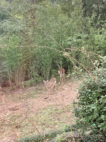 1812 Springfield Hwy, Goodlettsville, TN 37072