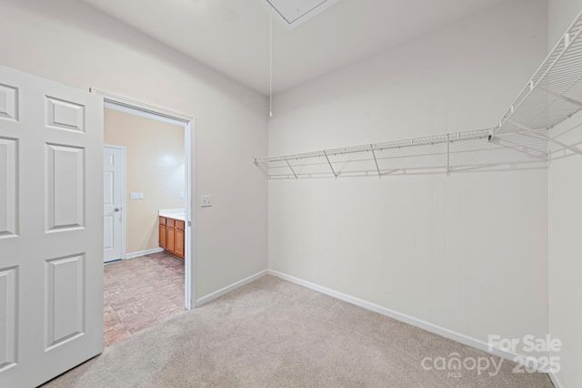 11608 Downy Birch Road, Charlotte, NC 28227