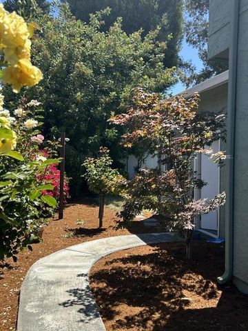 315 Landeros Drive, Santa Clara, CA 95051