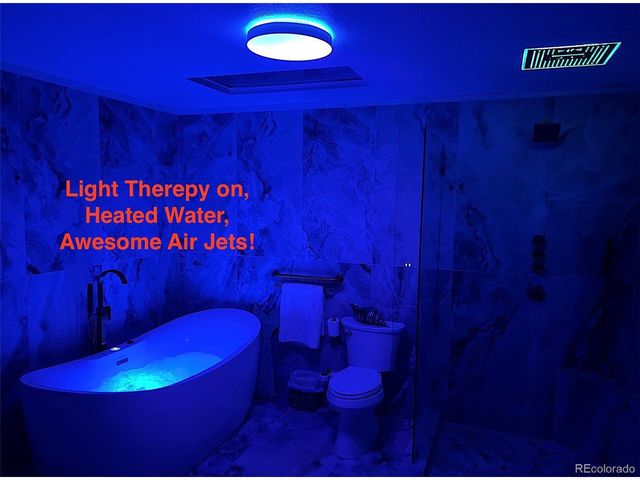 10669 W Quarto Dr, Littleton, CO 80127