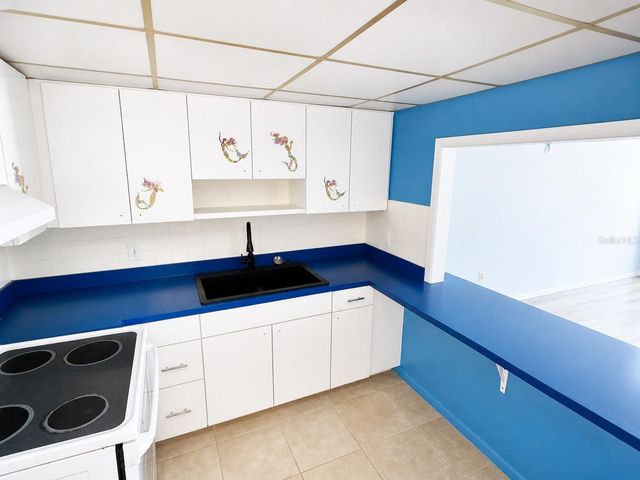 4550 COVE CIRCLE 205, St Petersburg, FL 33708