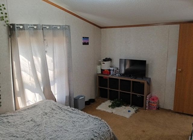 300 Main Street E 1, Bertha, MN 56437