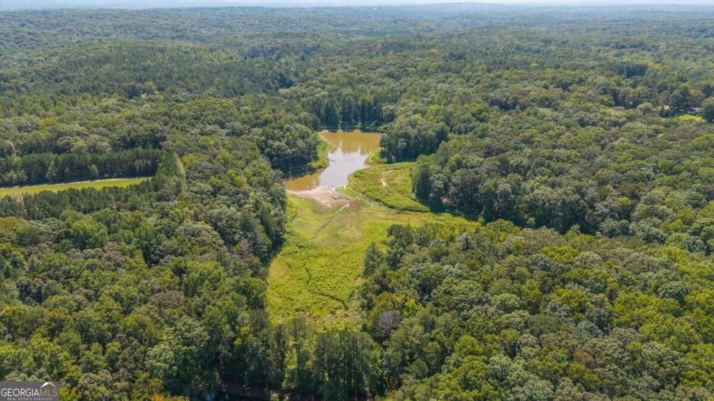 4583 Coursey Lake Road, Douglasville, GA 30135 — photo 5