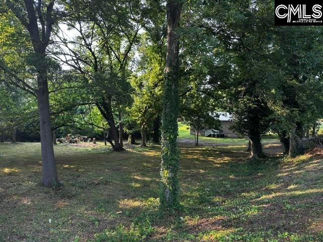933 Gilder Street, Newberry, SC 29108