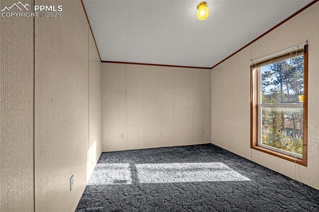 100 Wolverine Drive, Florissant, CO 80816