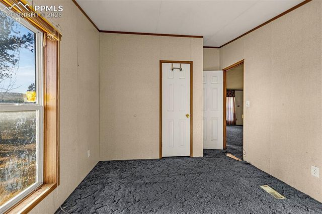 100 Wolverine Drive, Florissant, CO 80816