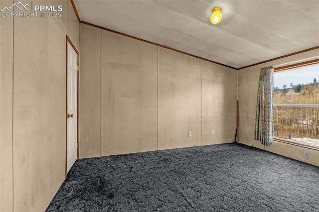 100 Wolverine Drive, Florissant, CO 80816