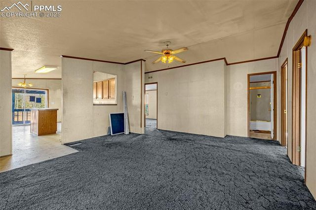 100 Wolverine Drive, Florissant, CO 80816