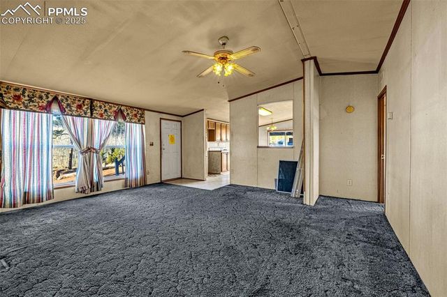 100 Wolverine Drive, Florissant, CO 80816