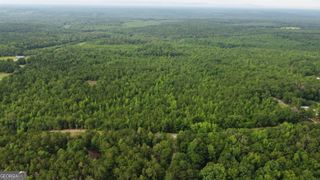 0 State Route 240 Road, Ideal, GA 31041