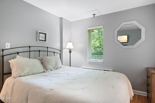 413 Baskins Creek Rd Apt 501, Gatlinburg, TN 37738