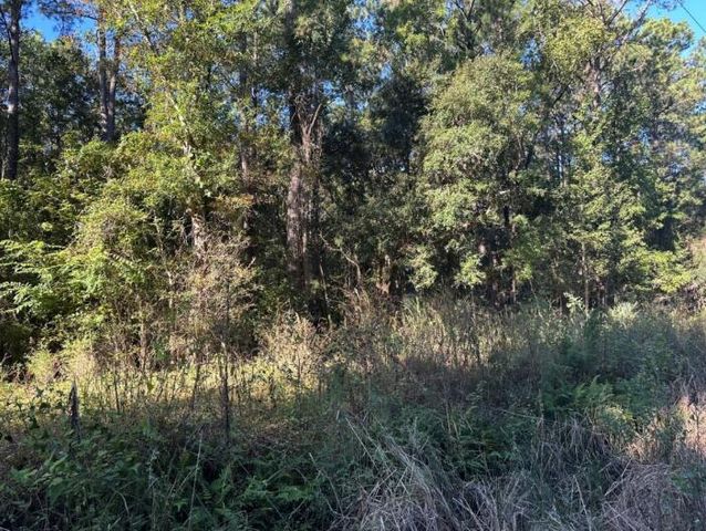 00 Joyner Lane, Charleston, SC 29492