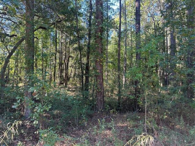 00 Joyner Lane, Charleston, SC 29492