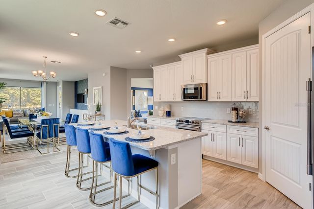 3963 KENNEBUNK LOOP, Mount Dora, FL 32757