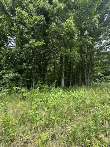 3061 Hilham Hwy Tract 7 of, Hilham, TN 38568