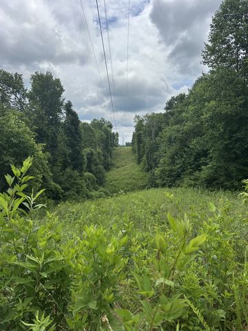 3061 Hilham Hwy Tract 7 of, Hilham, TN 38568
