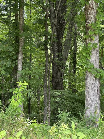 3061 Hilham Hwy Tract 7 of, Hilham, TN 38568