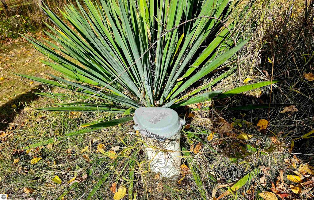 Image 37 of property listing at 602 Olive Street, St Louis, MI 48880