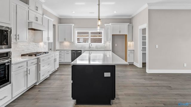 3627 Preserve Park Boulevard SW, Madison, AL 35756