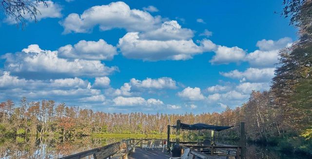 1955 ABRICO DRIVE G4, Lutz, FL 33558