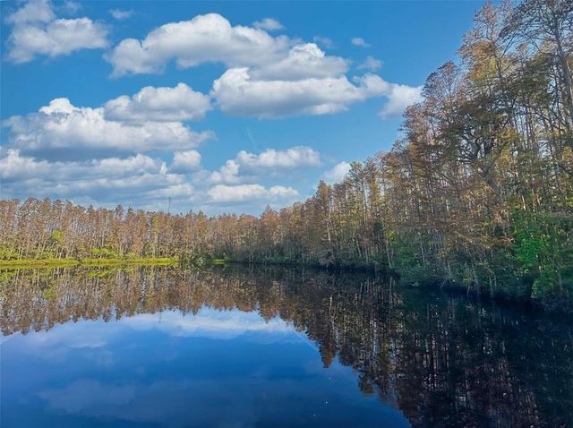 1955 ABRICO DRIVE G4, Lutz, FL 33558