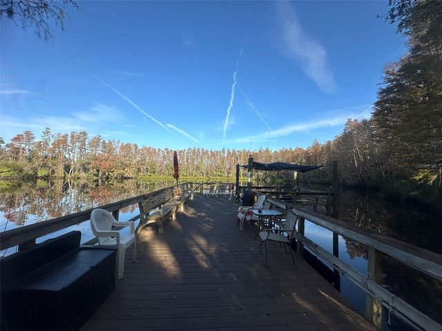 1955 ABRICO DRIVE G4, Lutz, FL 33558