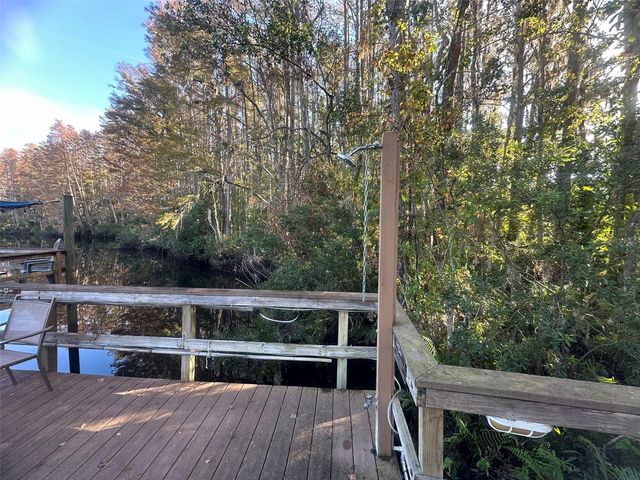 1955 ABRICO DRIVE G4, Lutz, FL 33558