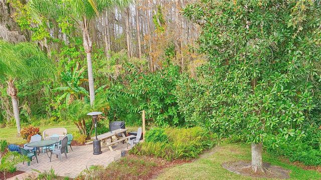 1955 ABRICO DRIVE G4, Lutz, FL 33558