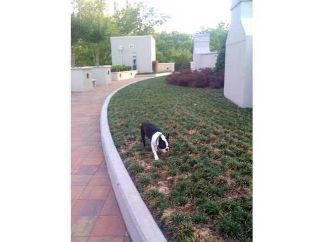 222 12th NE Street 1806, Atlanta, GA 30309