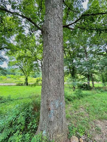 9 Great Oaks Drive, Salem, MO 65560