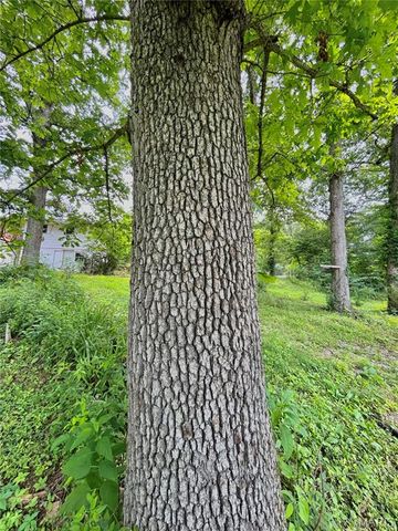 9 Great Oaks Drive, Salem, MO 65560