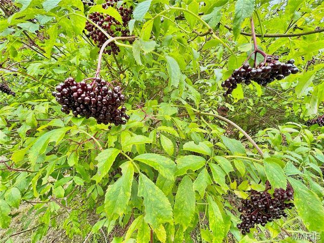 9 Great Oaks Drive, Salem, MO 65560