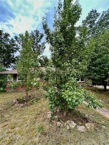 9 Great Oaks Drive, Salem, MO 65560