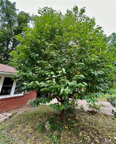 9 Great Oaks Drive, Salem, MO 65560