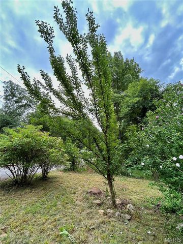 9 Great Oaks Drive, Salem, MO 65560