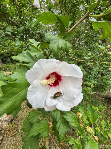 9 Great Oaks Drive, Salem, MO 65560