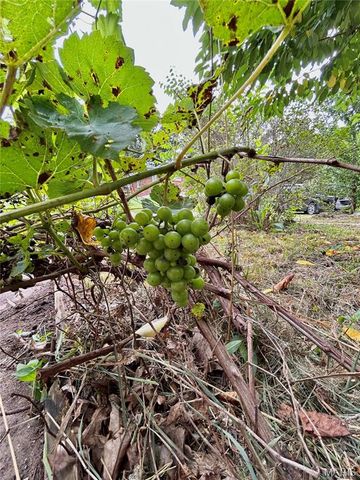 9 Great Oaks Drive, Salem, MO 65560