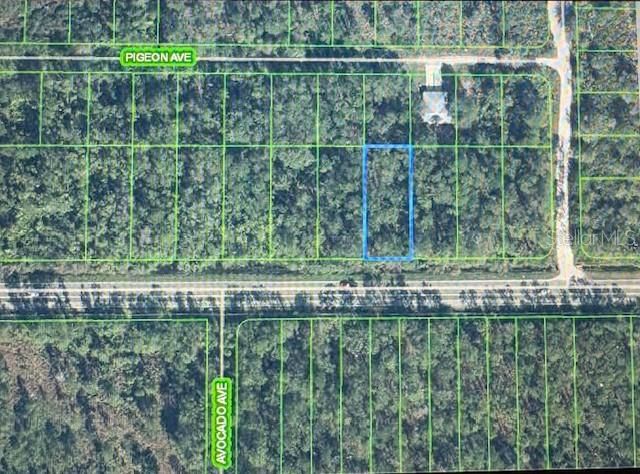 2600 HAMMOCK ROAD, Sebring, FL 33872