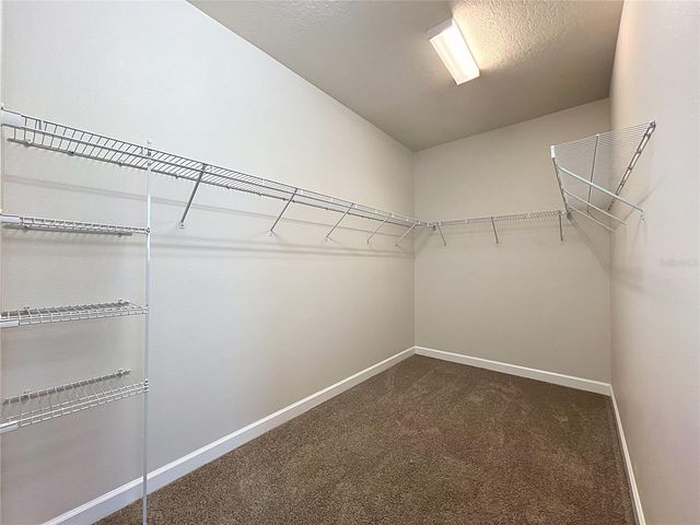 3160 CALVANO DRIVE, Land O Lakes, FL 34639